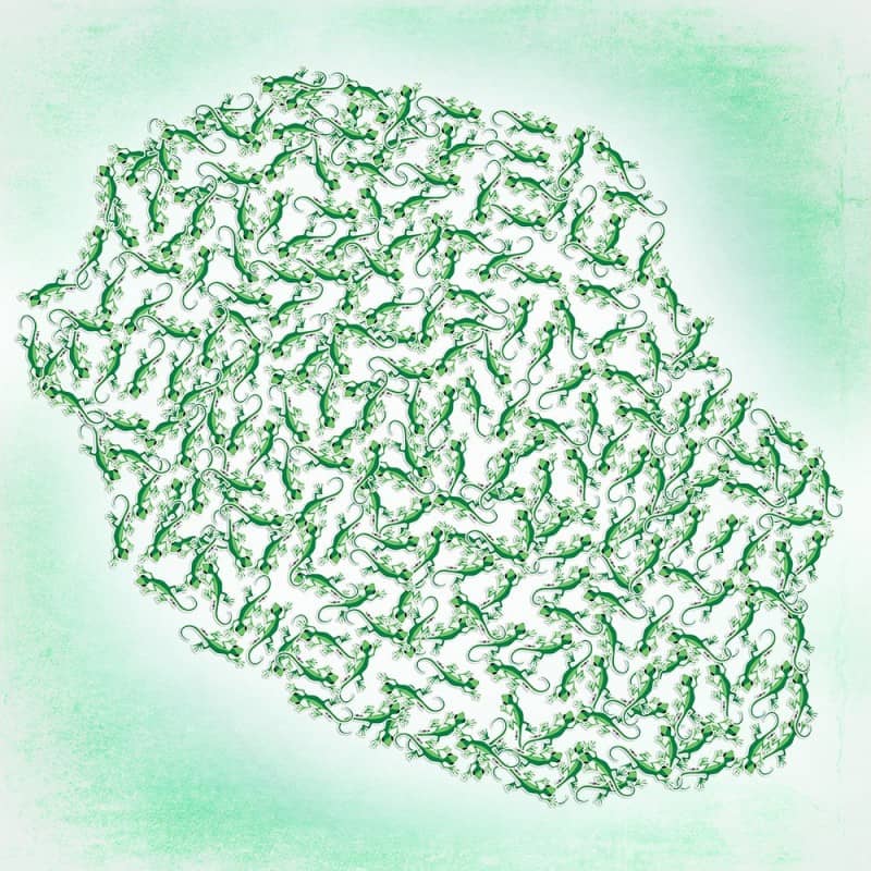 Autocollant Classique Margouillat