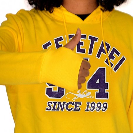 Sweat Capuche Sakaye Tipi