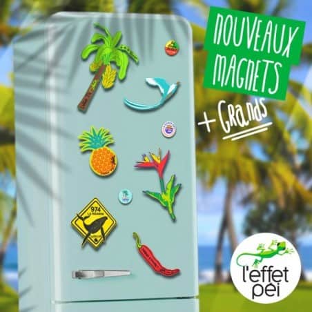 Magnet Big Paille en Queue