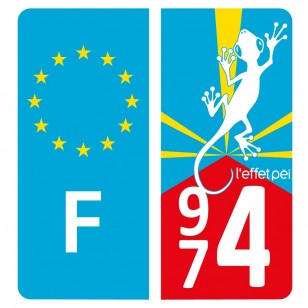 Autocollant immatriculation FLAG