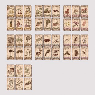 Jeu de 7 familles 2