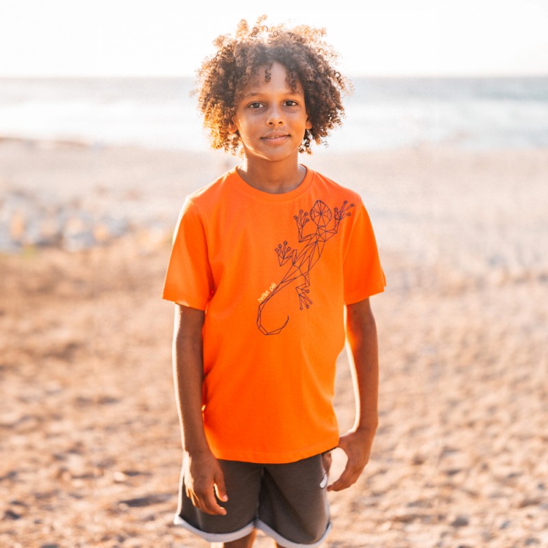 T-Shirt Origami (Dalon Marmay)