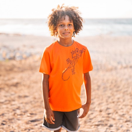 T-Shirt Origami (Dalon Marmay)