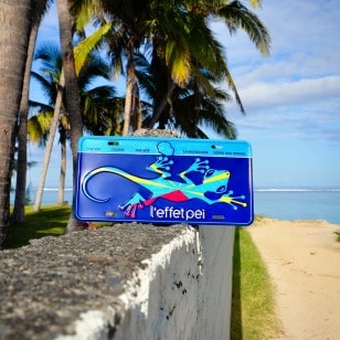 City Plak MARGOUILLAT FLAG 2